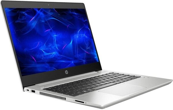 

Ноутбук HP Probook 445 G7 (1F3K7EA)