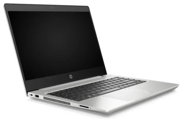 

Ноутбук HP Probook 445 G7 (1F3K9EA)