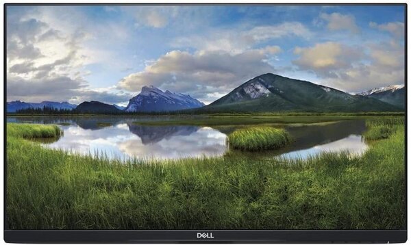 

Монитор 23.8" DELL P2419HCWO (210-ATUY)