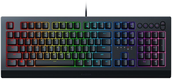 

Игровая клавиатура Razer Cynosa V2 (RZ03-03400700-R3R1)