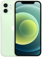 Смартфон Apple iPhone 12 256GB Green (MGJL3)