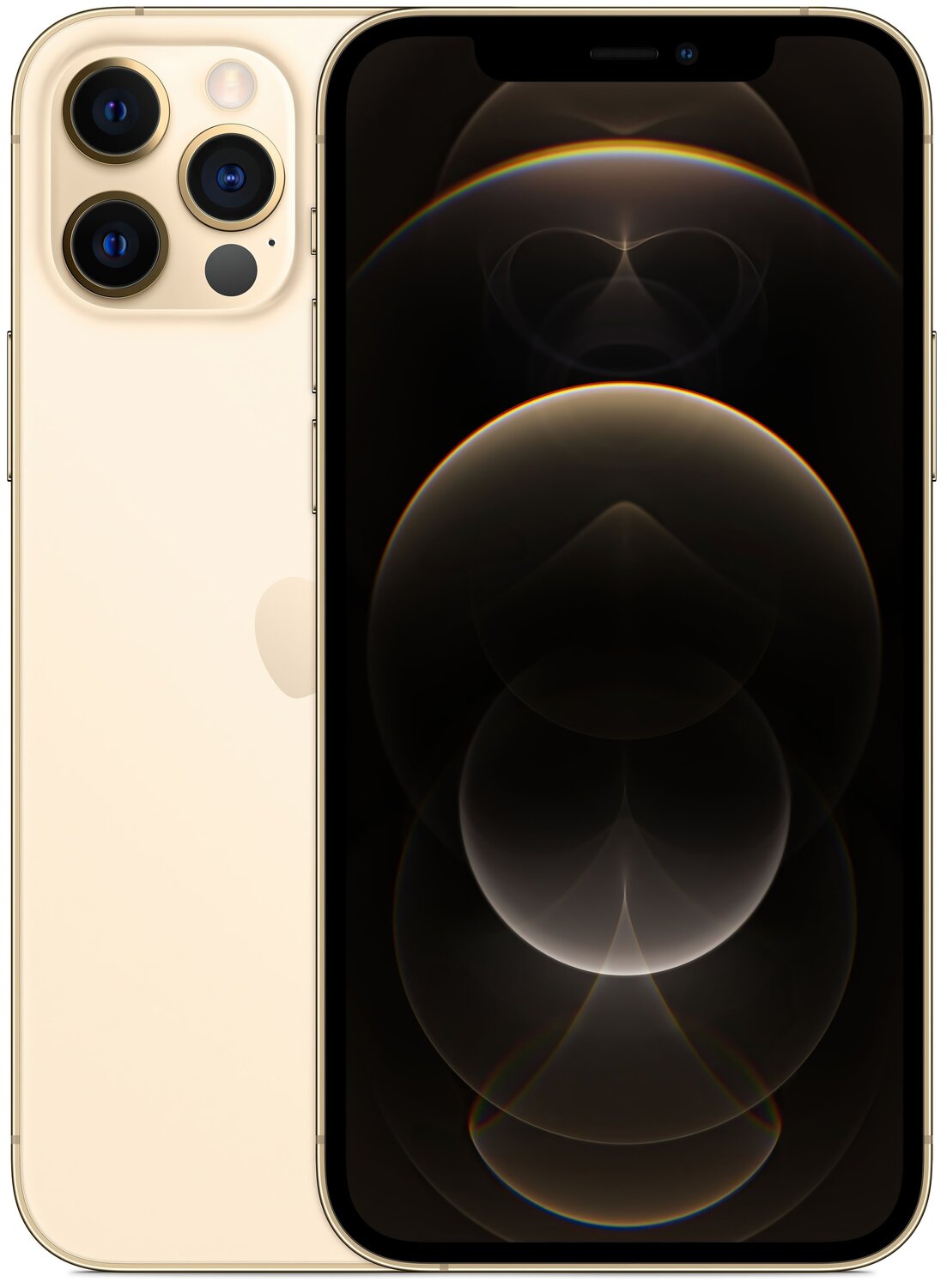 Смартфон Apple iPhone 12 Pro 256GB Gold (MGMR3) фото 