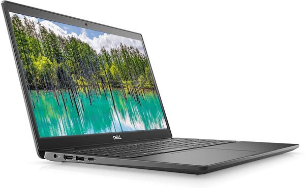 

Ноутбук DELL Latitude 3510 (N011L351015ERC_W10)