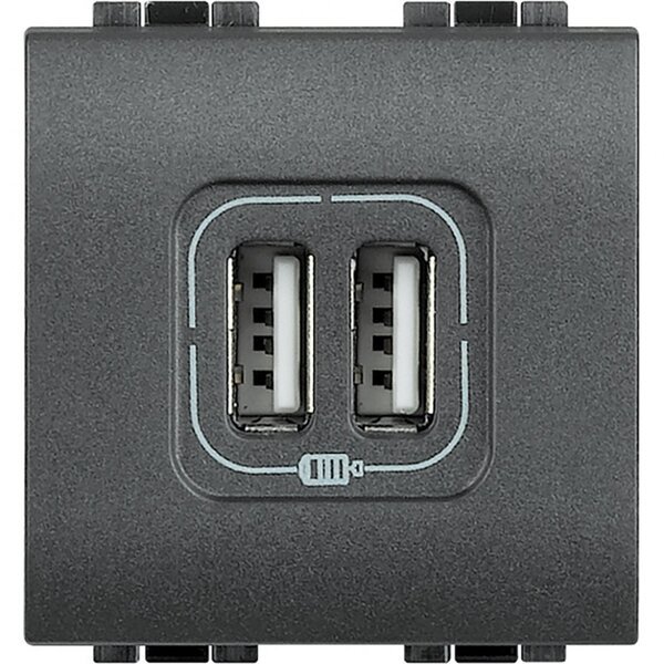 

Разъем для зарядки Legrand Bticino LL 2 USB, Антрацит