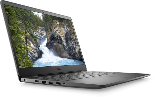

Ноутбук Dell Vostro 3500 (N3004VN3500ERC_W10)