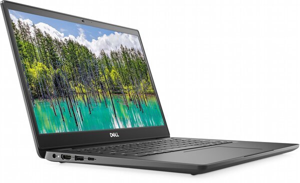 

Ноутбук Dell Latitude 3410 (N012L341014UA_UBU)