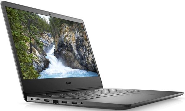 

Ноутбук Dell Vostro 3400 (N4014VN3400UA_UBU)