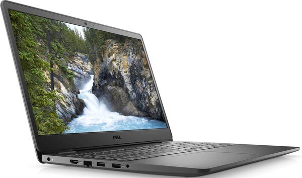 

Ноутбук Dell Vostro 3500 (N5001VN3500UA_UBU)