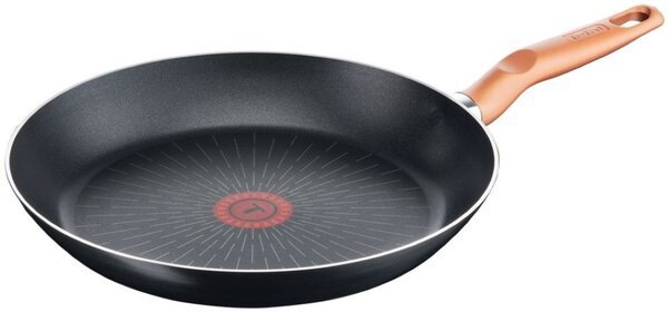 

Сковорода Tefal Express 26 см (B2580502)