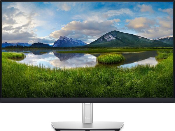 

Монитор 27" DELL P2721Q (210-AXNK)