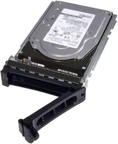 

Жесткий диск внутренний DELL EMC 2TB 7.2K RPM NLSAS 12Gbps 512n 3.5in Hot-Plug Hard Drive NS (400-BJRT)