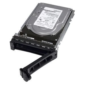 

Жесткий диск внутренний DELL EMC 2TB 7.2K RPM SATA 6Gbps 512n 3.5in Hot-Plug Hard Drive (400-BJSB)