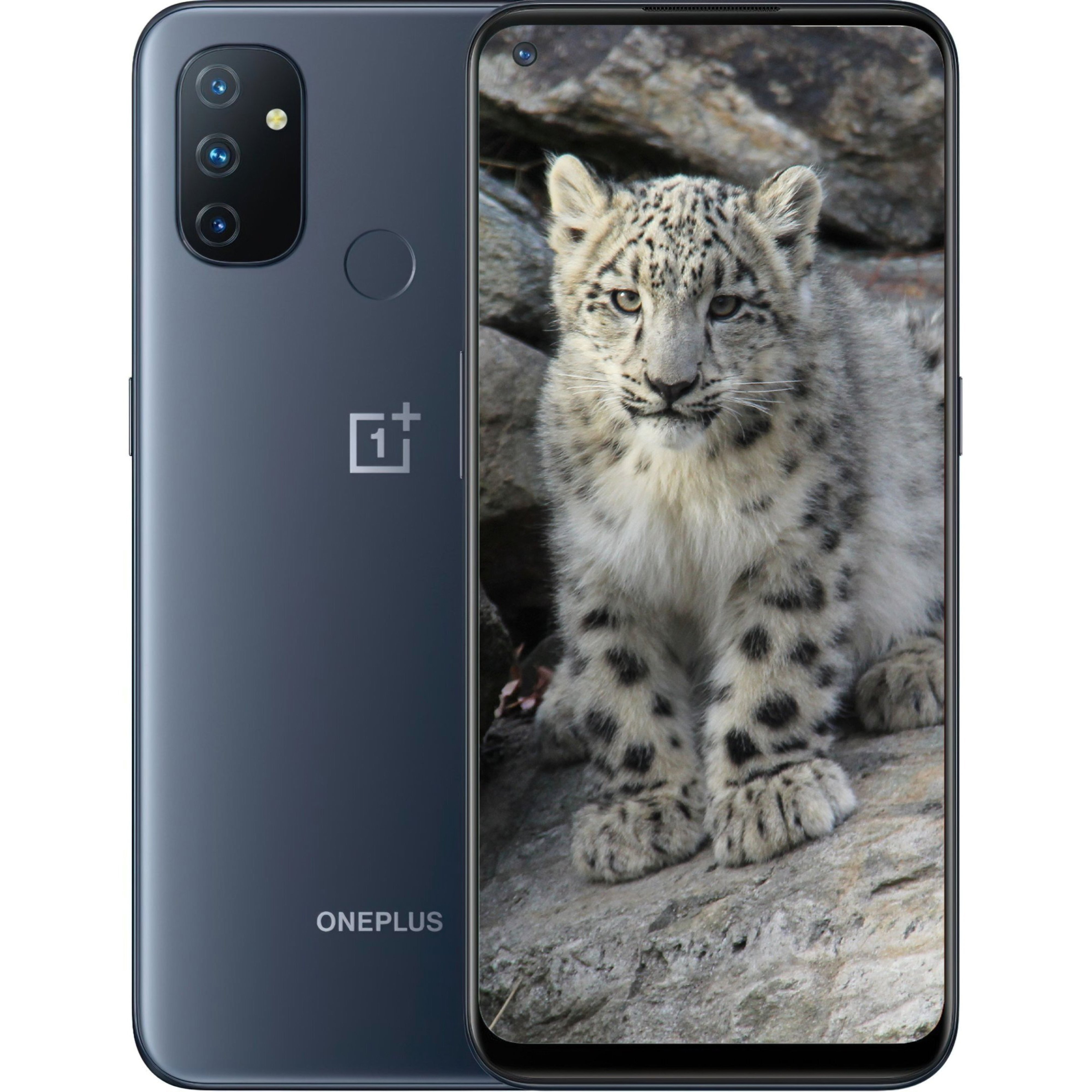 Смартфон OnePlus Nord N100 BE2013 4/64Gb Midnight Frost фото 1