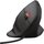 Миша Trust GXT144 Rexx Ergonomic Black (22991)