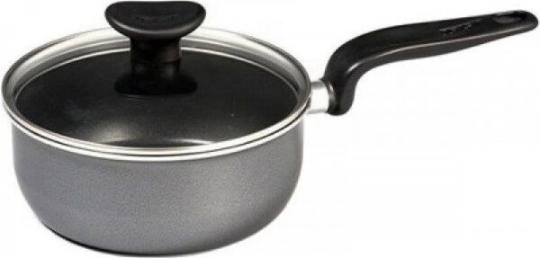 

Ковш с крышкой Tefal Minute 18 см (4172418)