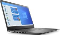 Ноутбук Dell Vostro 3500 (N6003VN3500ERC_WP)