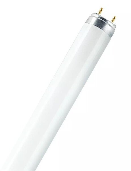 

Фитолампа люминесцентная OSRAM LEDVANCE FLUORA L Т8 36W/77 G13/1200мм/1400Lm (4050300003184)