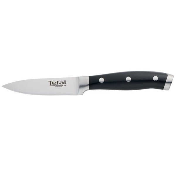 

Нож для овощей Tefal Character 9 см (K1410174)