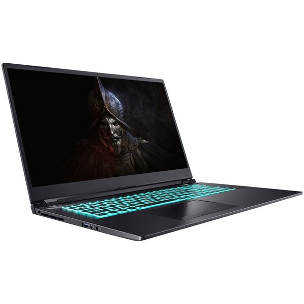 

Ноутбук DREAM MACHINES RS3060-17 17.3QHD (RS3060-17UA26)