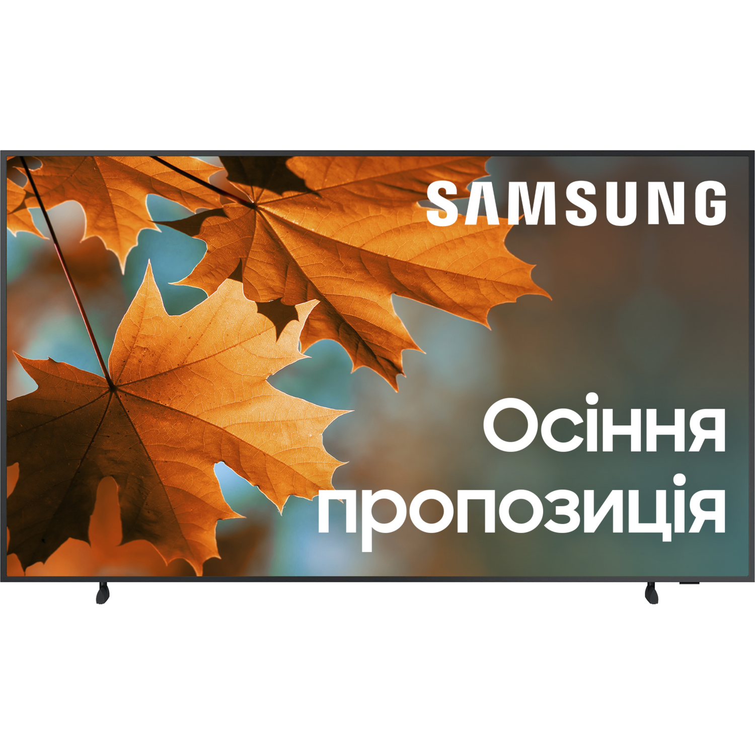 Телевізор Samsung QE43LS03BAUXUA (1185930)