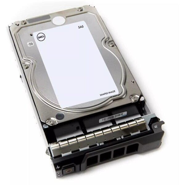 

Жесткий диск внутренний DELL EMC 4TB 7.2K RPM NLSAS ISE 12Gbps 512n 3.5in Hard Drive (400-ASHY)