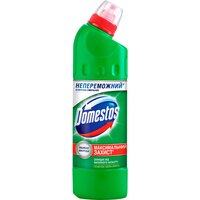 Засіб для чищення Domestos Хвойна свіжість 24 год Універсальний 500мл