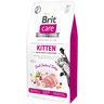 Сухий корм для кошенят Brit Care Cat GF Kitten Growth & Developmen з куркою та індичкою, 7кгфото