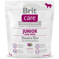 Сухий корм для цуценят та молодих собак великих порід Brit Care Junior Large Breed Lamb & Rice 1 кг