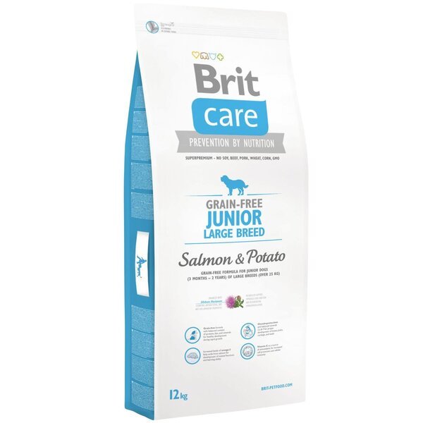 

Сухой корм для щенков гигантских пород Brit Care GF Junior Large Breed Salmon & Potato 12 кг