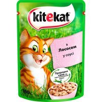 Вологий корм для дорослих кішок Kitekat з лососем у соусі 100г