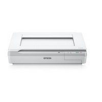 Сканер Epson Workforce DS-50000 (B11B204131)