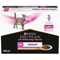 Вологий корм для котів із хворобами нирок Purina Pro Plan Veterinary Diets NF Renal Function Early Care з лососем 10x85 г