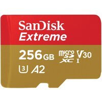 Карта памяти SanDisk microSD 256GB C10 UHS-I U3 R190/W130MB/s (SDSQXAV-256G-GN6MA)