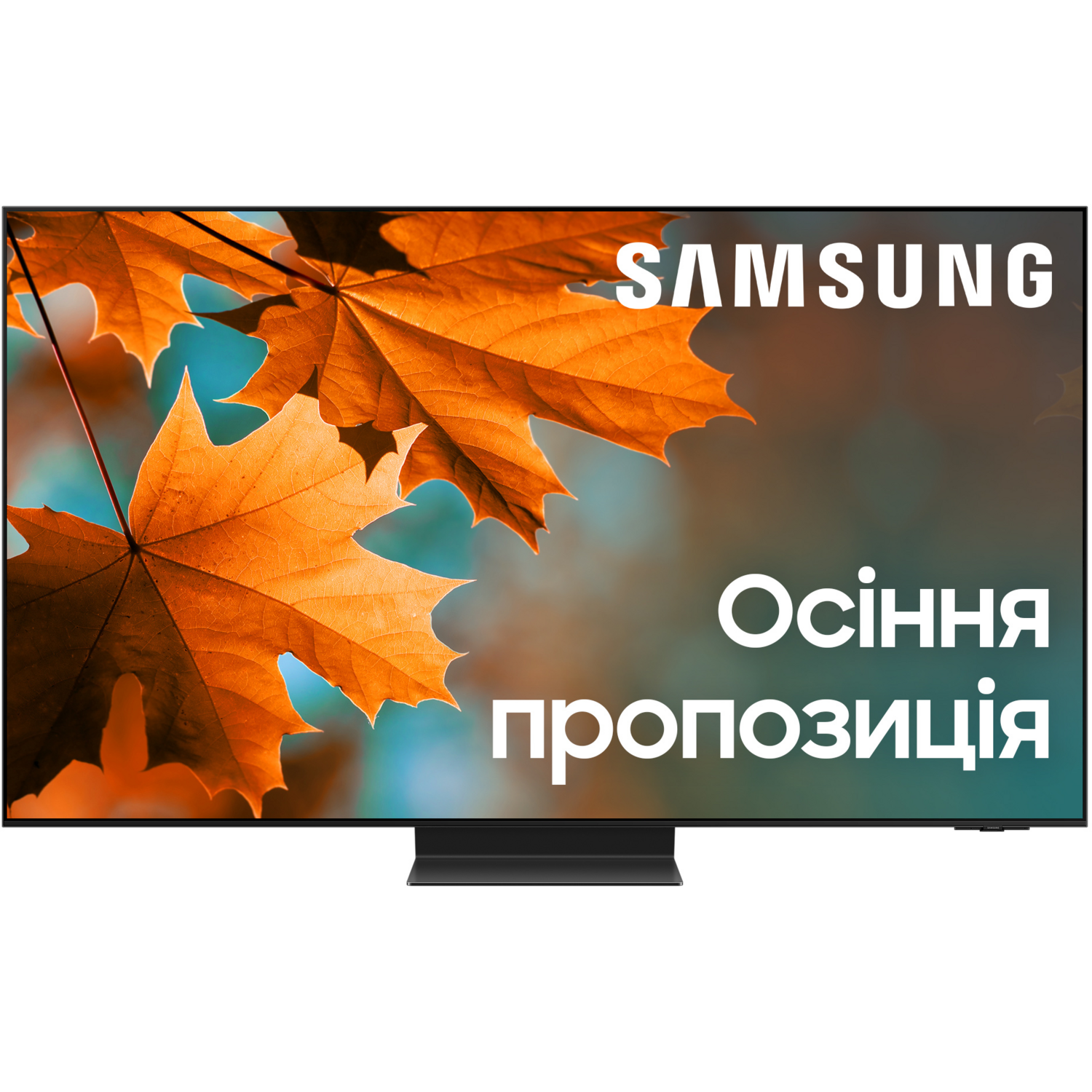 Телевізор SAMSUNG QE55S95CAUXUA (1518548)