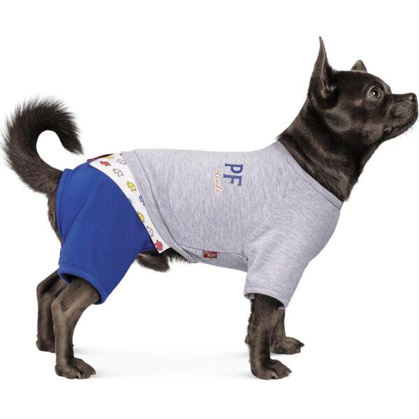 

Костюм для собак Pet Fashion Орион S