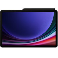 Планшет Samsung Galaxy Tab S9 5G 12/256Gb Graphite (SM-X716BZAESEK)