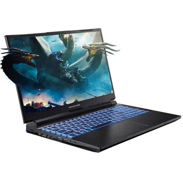 

Ноутбук DREAM MACHINES G1650-15 (G1650-15UA92)