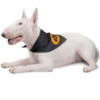 Бандана Pet Fashion BATDOG M-XL