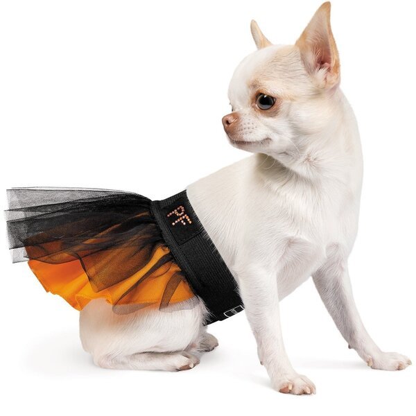 

Юбка для животных Pet Fashion GHOST S