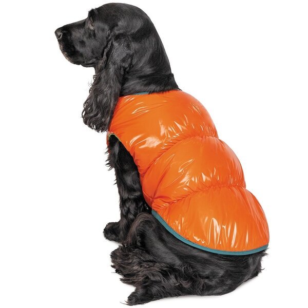 

Жилет для собак Pet Fashion SPRING оранжевый M