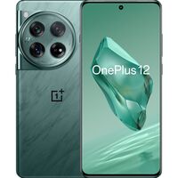 Смартфон OnePlus 12 5G (CPH2581) 16/512Gb Flowy Emerald