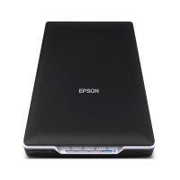 Сканер Epson Perfection V19 (B11B231401)