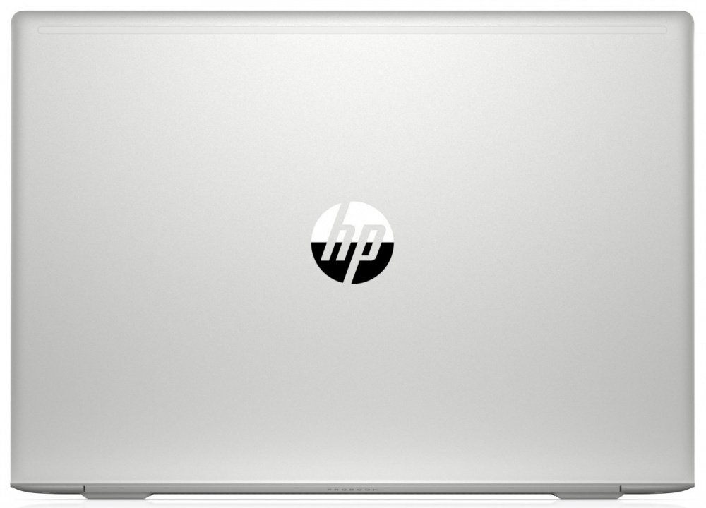 Ноутбук HP ProBook 450 G6 (6HL94EA)